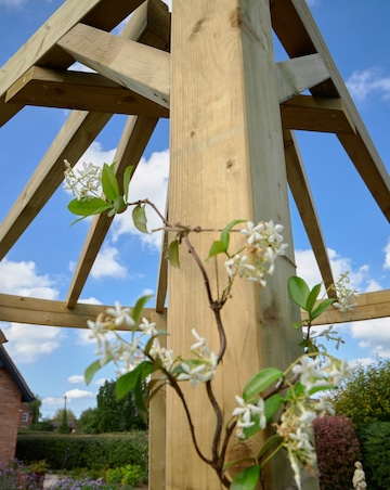 Forest Premium Radial Pergola (Home Delivery)