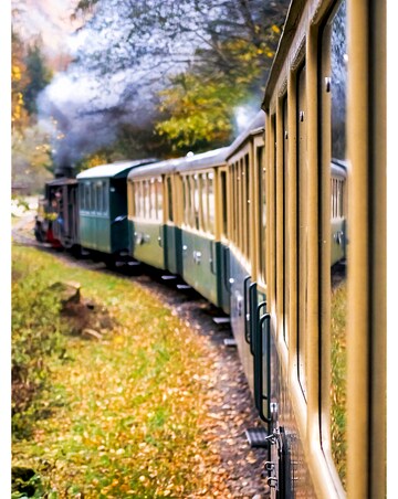 Steam Train Expererience for a Family of Four
