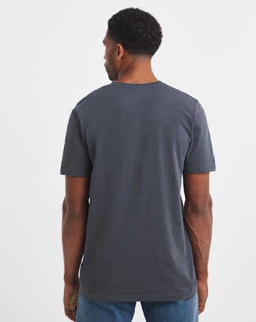 Pure Cotton V Neck T-Shirt Long