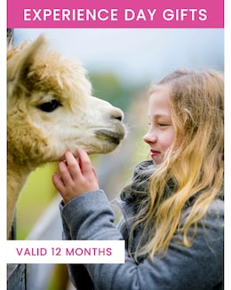Alpaca Walk for a Family of Four