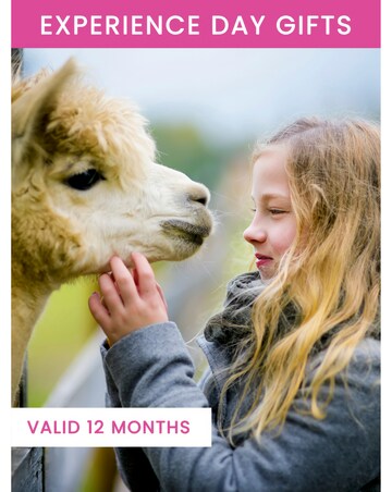 Alpaca Walk for a Family of Four