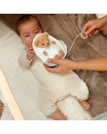 Baby Born for babies Musical Teddy