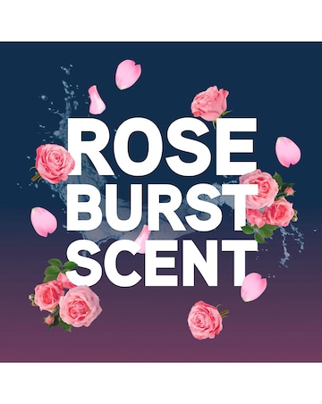 Vax 4 Litre Platinum Professional Carpet Cleaning Solution