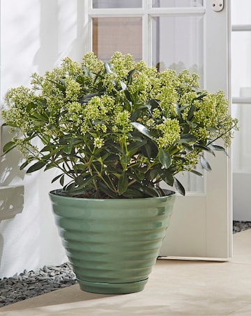 La Hacienda Vale Sage Green Planter 40cm
