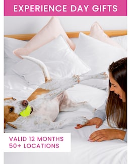 Dog Friendly Stays