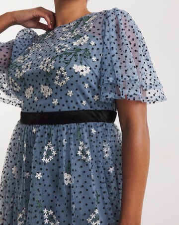 Joanna Hope Mesh Spot Midi Dress