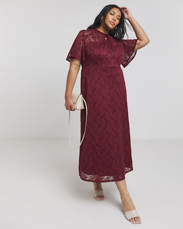 Joanna Hope Lace Midi Dress