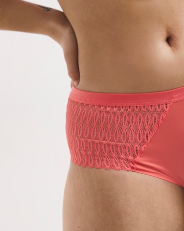 Triumph Aura Spotlight Maxi Briefs