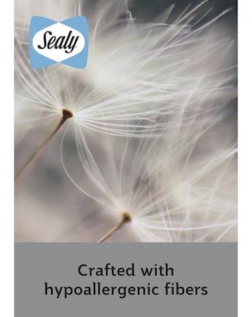 Sealy Deeply Full Mattress Topper