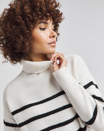 Mono Stripe Longline Roll Neck Jumper