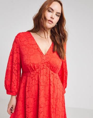 Joanna Hope Stretch Lace Dress