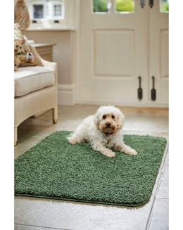Buddy Washable &amp; Stain Resistant Rug