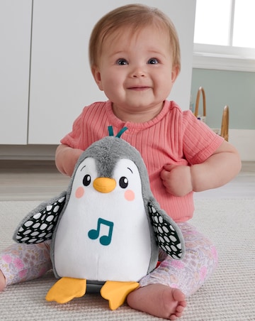 Fisher-Price Flap & Wobble Penguin