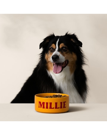 Cricut Joy Xtra Lavender Bundle