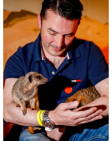 Animal Encounter
