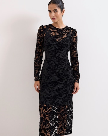 Phase Eight Viktoria Applique Velvet Midi Dress