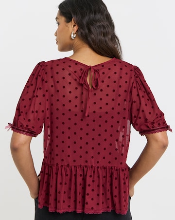 Burgundy Dobby Mesh Polka Dot Puff Sleeve Top