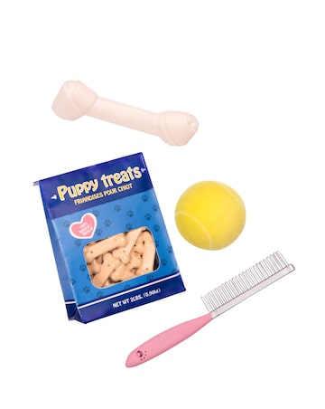 Our Generation Megan & Golden Retriever Doll