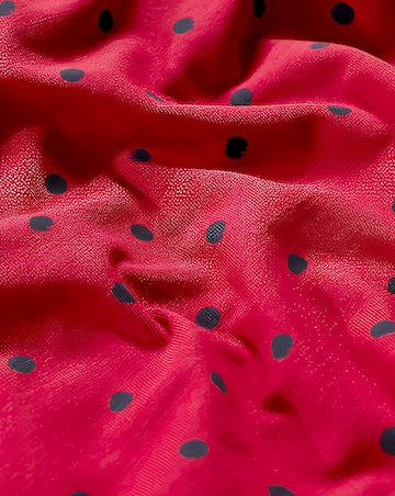 Seasalt Veronica Dress