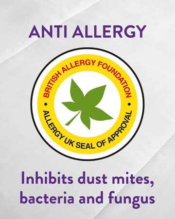 Slumberdown Anti-Allergy Mattress Protector