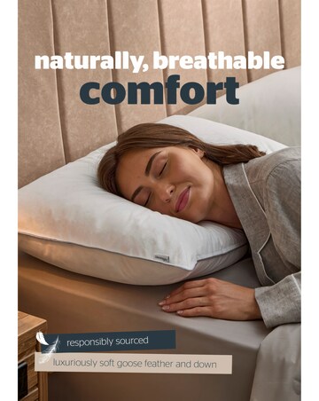 Silentnight Naturals Collection Goose Feather Pillow