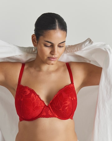 Dorina Curves Perfect Lace Padded Plunge Wired Bra Red