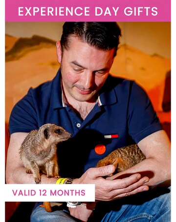 Meet the Meerkats for Two