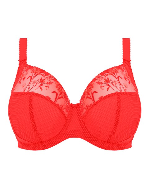 Elomi Charley Plunge Wired Bra Salsa