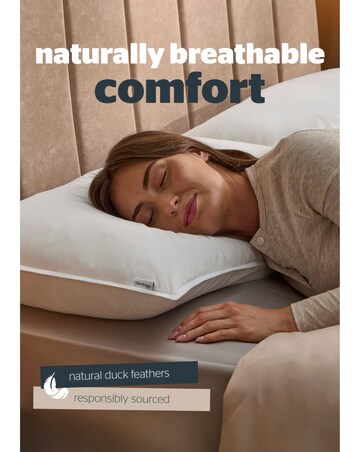 Silentnight Naturals Collection Duck Feather 2 Pack Pillow