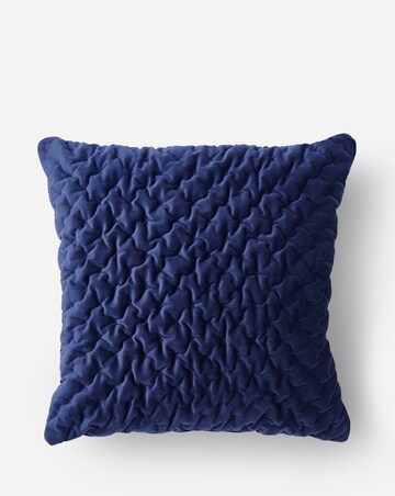 Pinsonic Velvet Cushion
