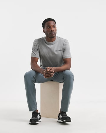 Napapijri Sovana Back Graphic T-Shirt - Grey Marl