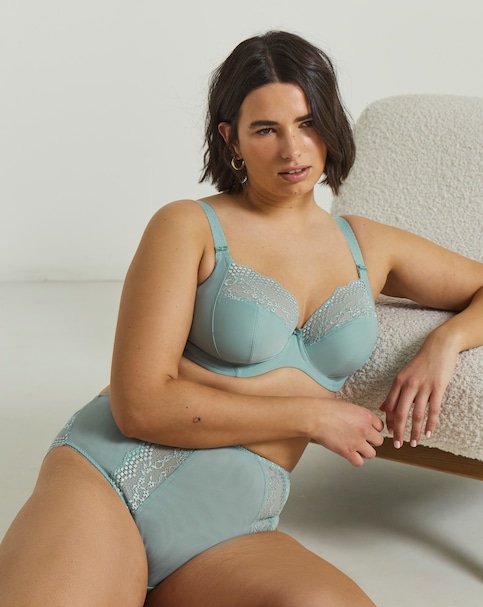 Elomi Lucie High Leg Knicker Mist