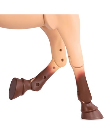 Our Generation Morgan Horse