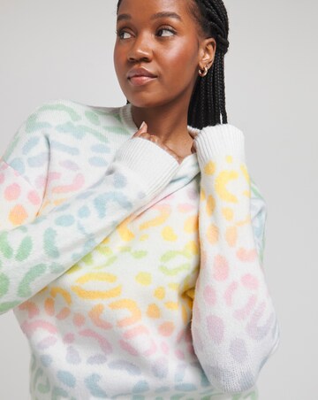Rainbow Ombre Leopard Crew Neck Jumper