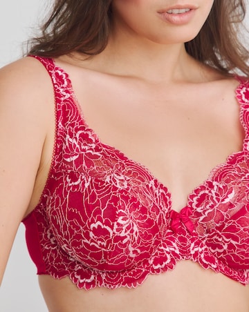 Pretty Secrets (2 Pack) Ella Lace Full Cup Wired Bras (C-H) Pink Multi