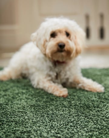Buddy Washable & Stain Resistant Runner