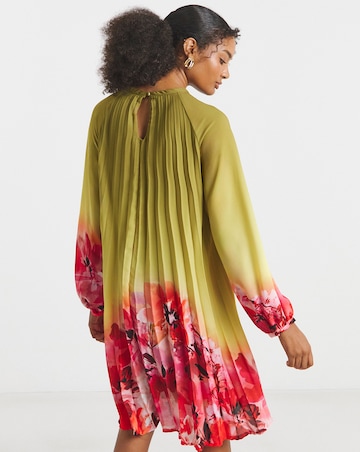 Joanna Hope Ombre Pleated Shift Dress