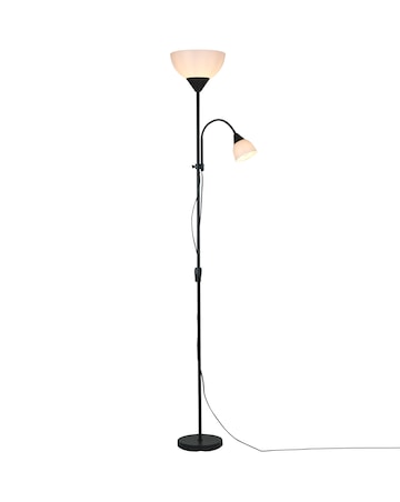 Dual Purpose Floor Lamp