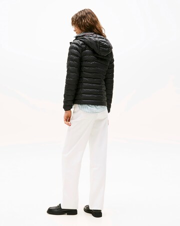 Tommy Hilfiger Lightweight Padded Jacket