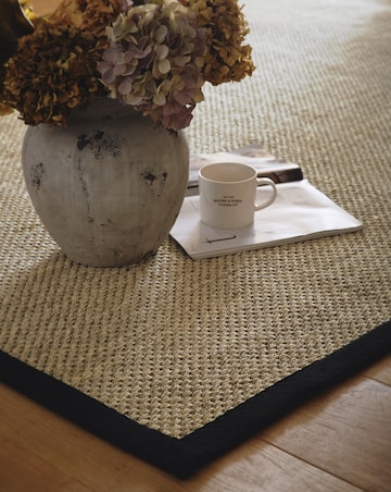 Sisal Border Rug