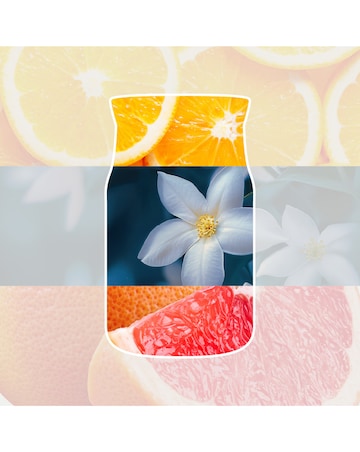 Yankee Candle Signature Large Midnight Jasmine