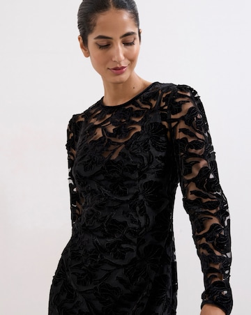 Phase Eight Viktoria Applique Velvet Midi Dress