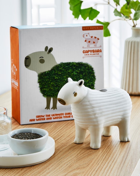 Capybara Chia Planter