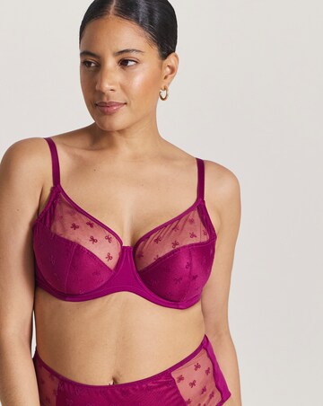 Pretty Secrets (2 Pack) Hannah Bow Full Cup Bras (B-G)