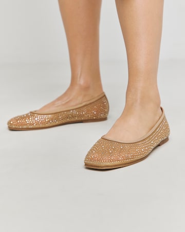 Luminous Embellished Mesh Ballet Flats - Wide Fit (E)