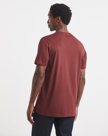 Pure Cotton V Neck T-Shirt Long Length-Port