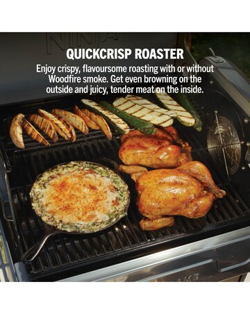 Ninja FlexFlame Outdoor Cooking System Barbecue PG301UK Black/ Silver