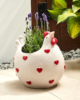 Hen Planter