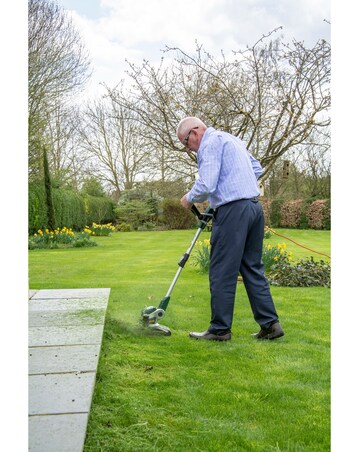 Webb Classic 650w 29cm (12) Linetrimmer & Edger