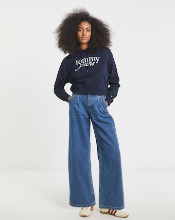 Tommy Jeans Tonal Linear Hoodie